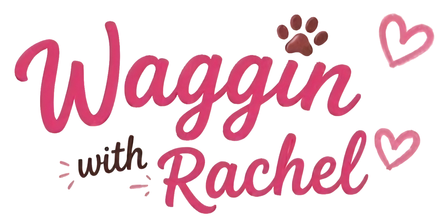 Waggin with Rachel