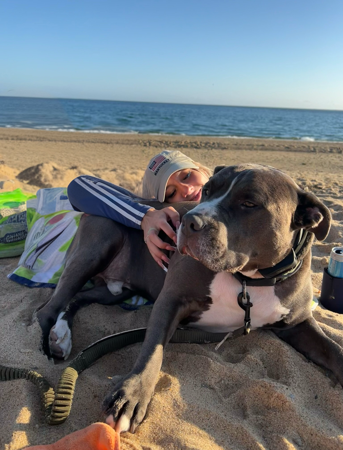 Pet care photo