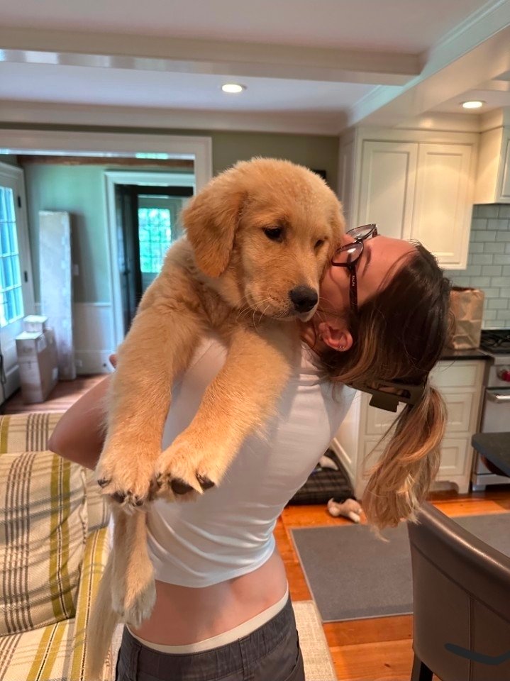 Pet care photo
